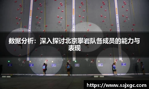 必博BIBO网址