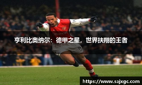 亨利比奥纳尔：德甲之星，世界扶翔的王者