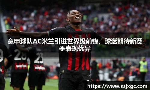 意甲球队AC米兰引进世界级前锋，球迷期待新赛季表现优异