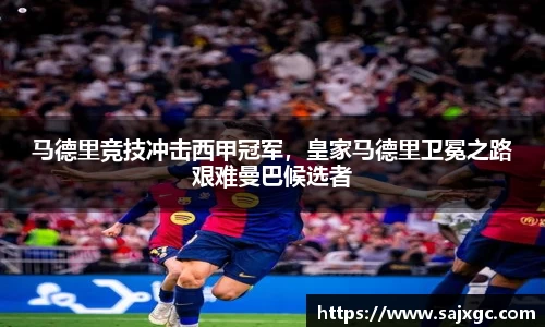 必博BIBO