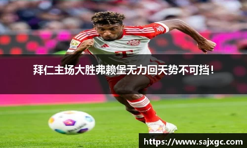必博BIBO
