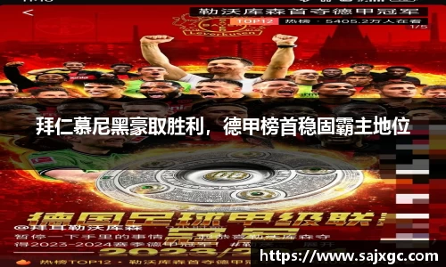 必博BIBO