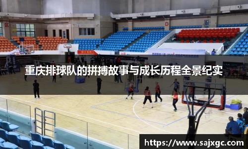 重庆排球队的拼搏故事与成长历程全景纪实