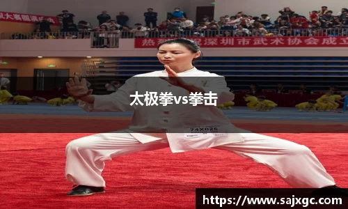 太极拳vs拳击