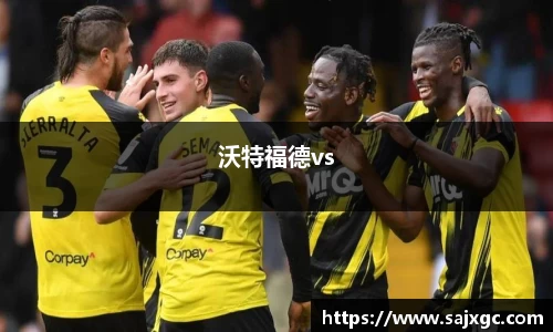 沃特福德vs