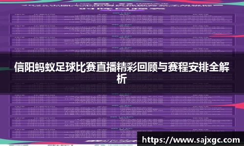 必博BIBO网址