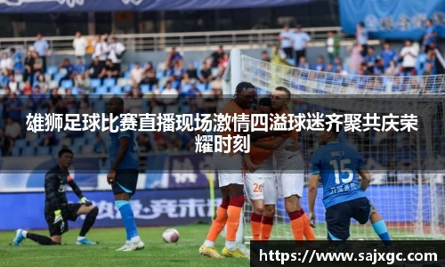 雄狮足球比赛直播现场激情四溢球迷齐聚共庆荣耀时刻