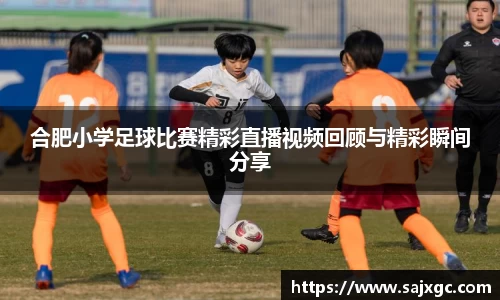 必博BIBO官网