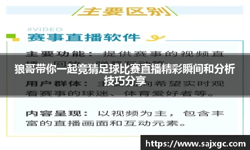 必博BIBO官网