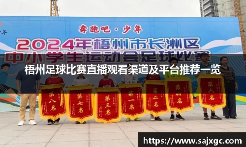 梧州足球比赛直播观看渠道及平台推荐一览