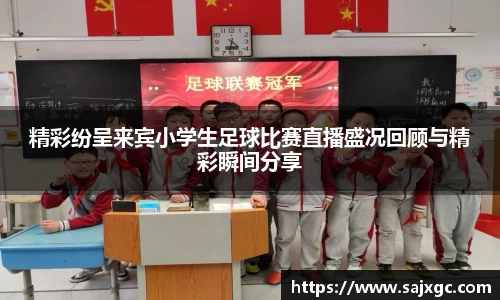 必博BIBO网址