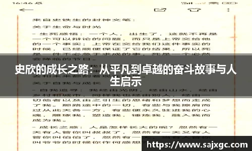 史欣的成长之路：从平凡到卓越的奋斗故事与人生启示