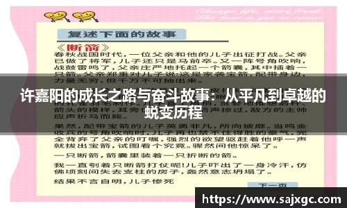 必博BIBO网址