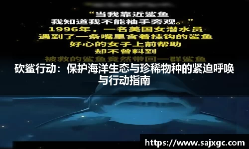 必博BIBO官网