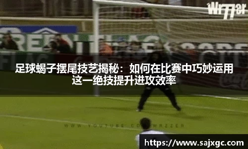 必博BIBO网址