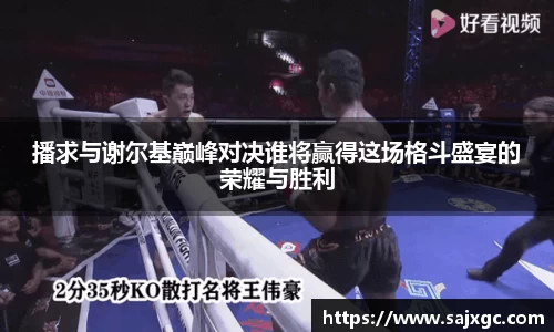 播求与谢尔基巅峰对决谁将赢得这场格斗盛宴的荣耀与胜利