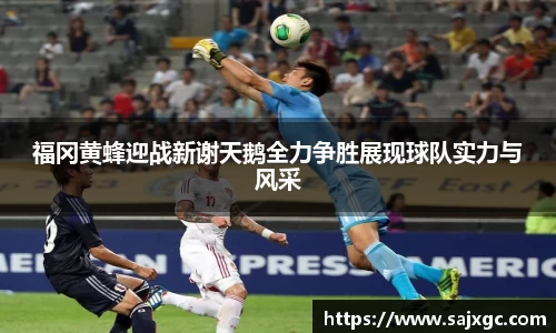 福冈黄蜂迎战新谢天鹅全力争胜展现球队实力与风采